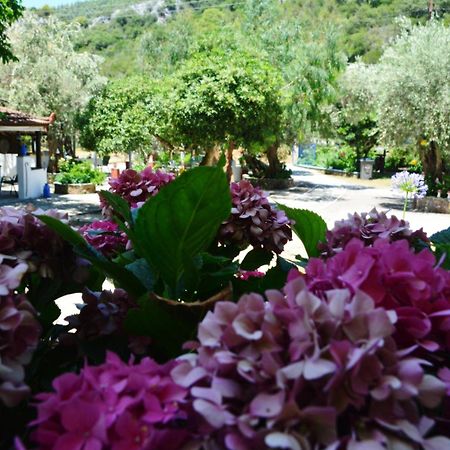 Spiros Rooms Panormos  Екстер'єр фото